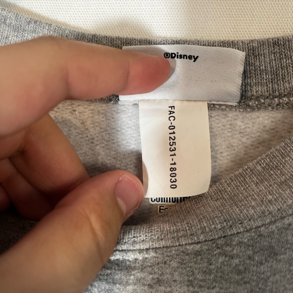 Hanes Disneyland Disney Parks Splash Mountain Grey  Crewneck Size S - Picture 7 of 10